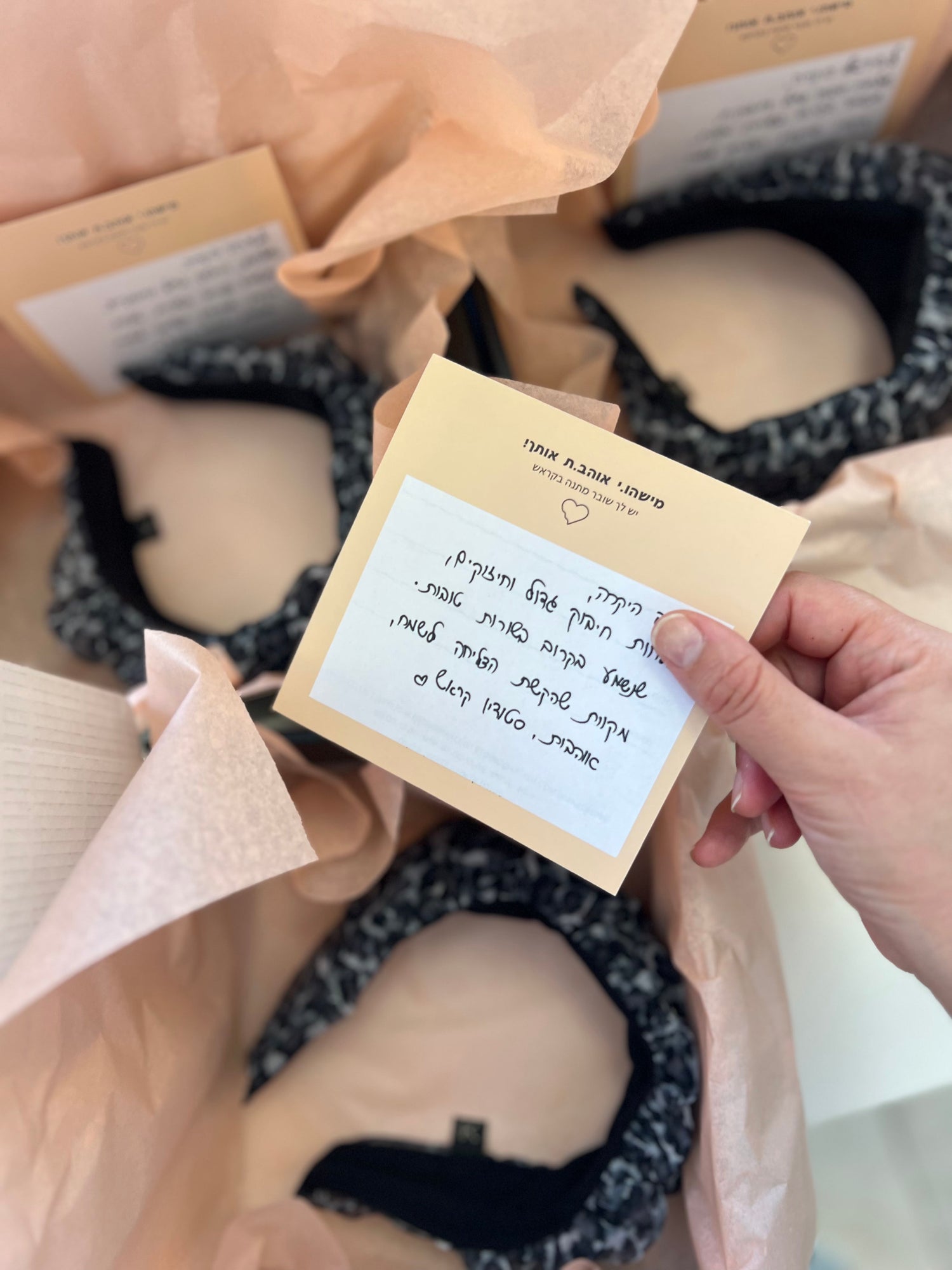 Donation to Israeli Women from the North &amp; South